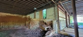 Enlarge photo 74