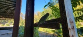 Enlarge photo 83