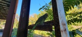 Enlarge photo 87