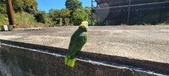 Enlarge photo 89