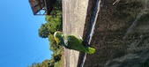 Enlarge photo 90