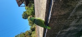 Enlarge photo 91