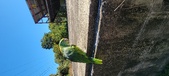 Enlarge photo 92