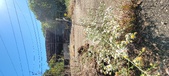 Enlarge photo 104
