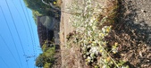Enlarge photo 105