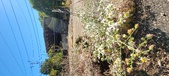 Enlarge photo 106