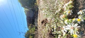 Enlarge photo 107