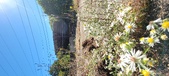 Enlarge photo 108