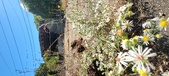 Enlarge photo 109