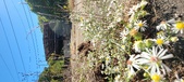 Enlarge photo 110