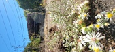 Enlarge photo 111