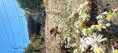 Enlarge photo 112