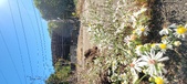 Enlarge photo 113