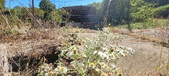 Enlarge photo 114