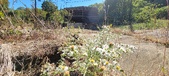 Enlarge photo 115