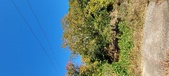 Enlarge photo 117