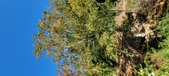 Enlarge photo 118