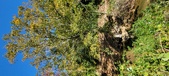 Enlarge photo 119