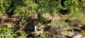Enlarge photo 120