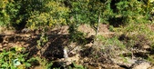 Enlarge photo 121
