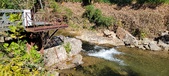 Enlarge photo 122