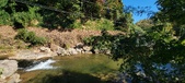Enlarge photo 132