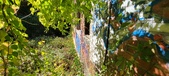 Enlarge photo 140