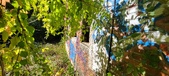 Enlarge photo 141