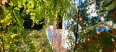 Enlarge photo 142