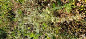 Enlarge photo 144
