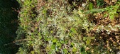 Enlarge photo 145