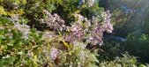 Enlarge photo 146
