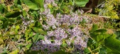 Enlarge photo 147