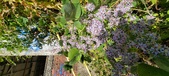Enlarge photo 148