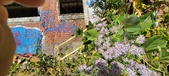 Enlarge photo 149