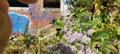 Enlarge photo 150