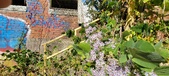 Enlarge photo 151
