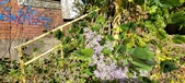 Enlarge photo 152