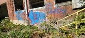 Enlarge photo 153
