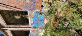 Enlarge photo 156
