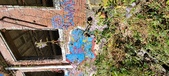 Enlarge photo 157
