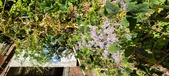 Enlarge photo 158