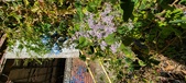 Enlarge photo 159