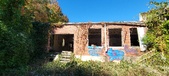 Enlarge photo 165