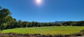 Enlarge photo 175