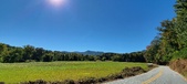 Enlarge photo 176