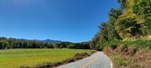Enlarge photo 177