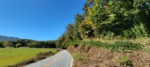 Enlarge photo 178