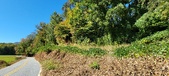 Enlarge photo 179