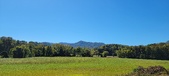 Enlarge photo 180